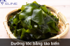 Dưỡng tóc bằng tảo biển