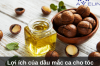 Lợi ích của dầu mắc ca cho tóc