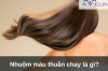Nhuộm màu thuần chay là gì?