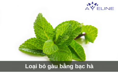 Loại bỏ gàu bằng bạc hà