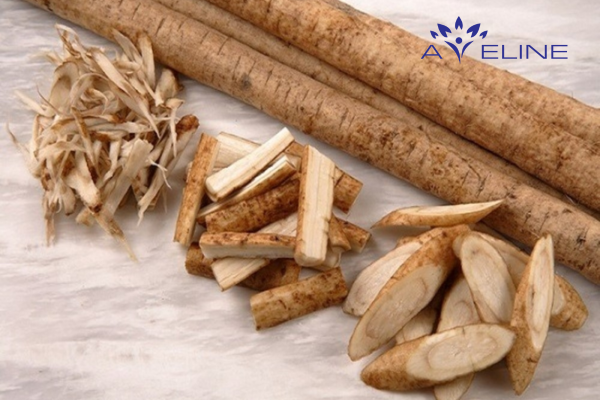 Những lợi ích nổi bật của rễ ngưu bàng