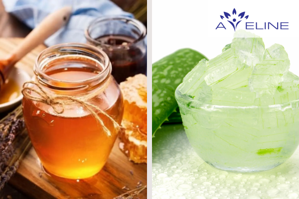 Mật ong rừng và nha đam