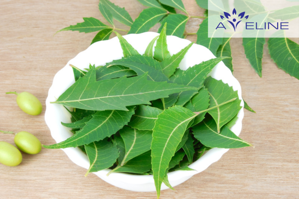 Trị gàu và nấm da đầu