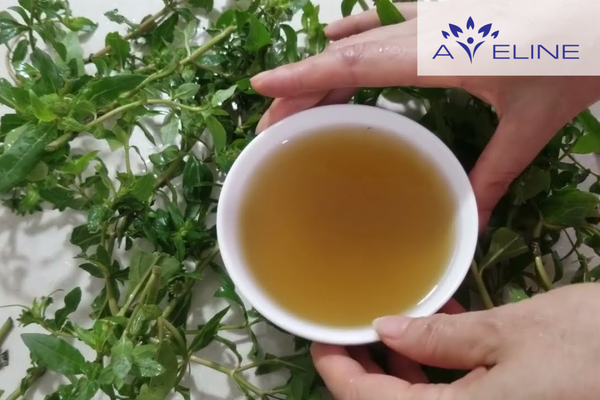 nhuộm tóc bằng cây nhọ nồi