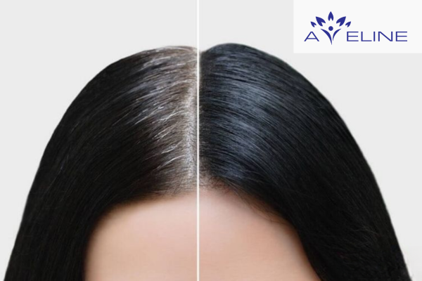 Những lưu ý quan trọng khi nhuộm tóc đen cho người già 